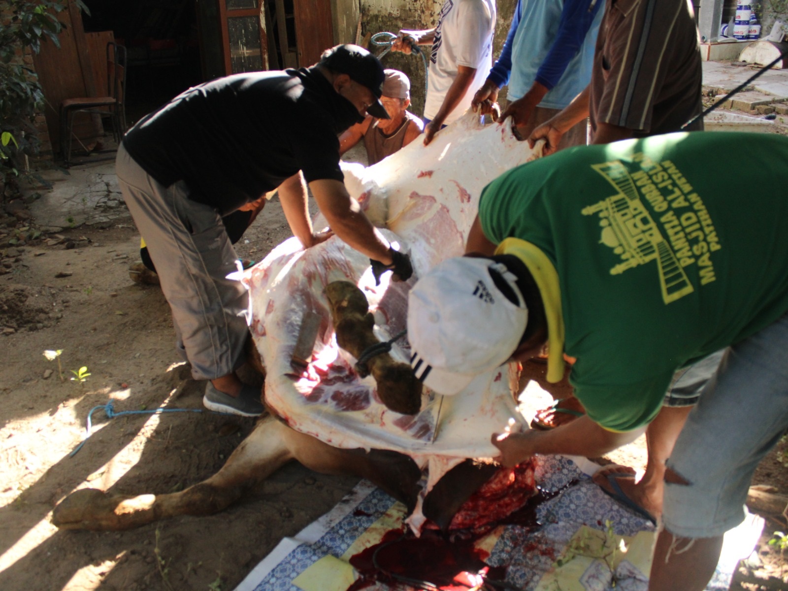 Qurban